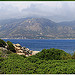 animazione-territorio3