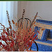 animazione-camere2