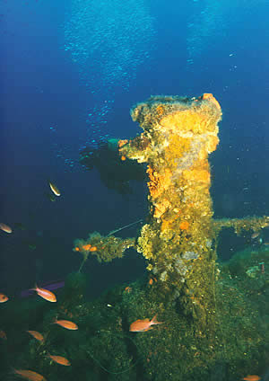 Immersione nel mare di Villasimius