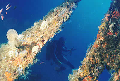 Immersione nel mare di Villasimius