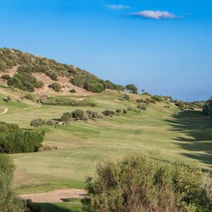 Particolari_campo_golf